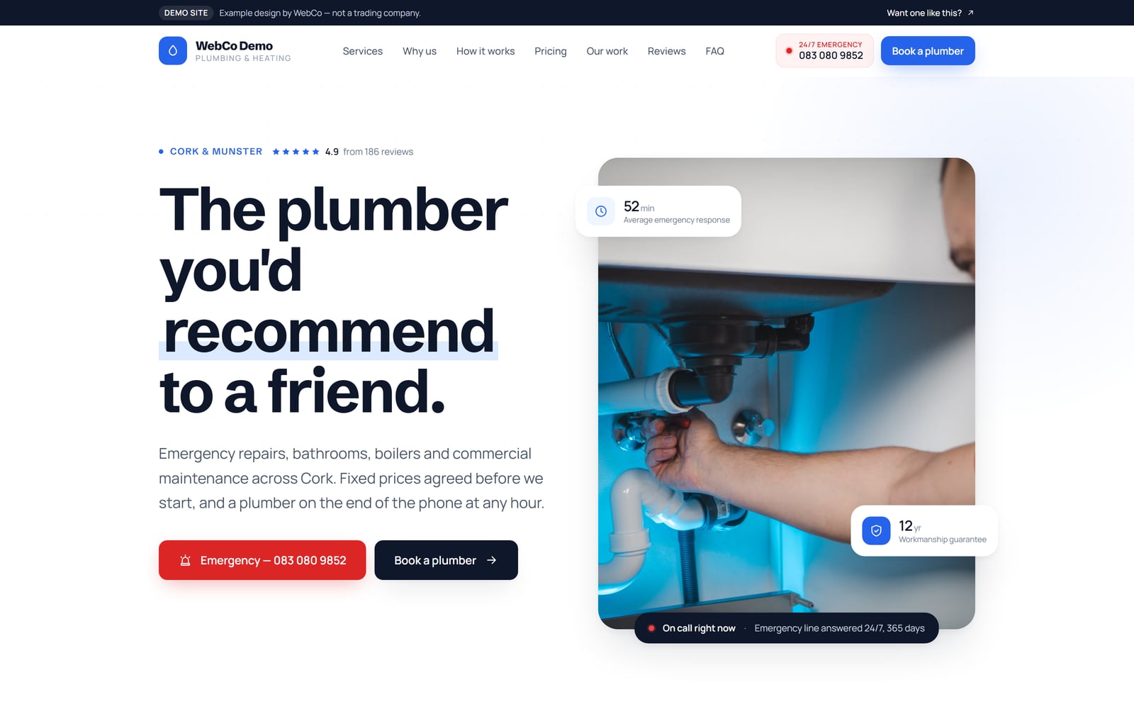 Screenshot of the Plumbing demo website